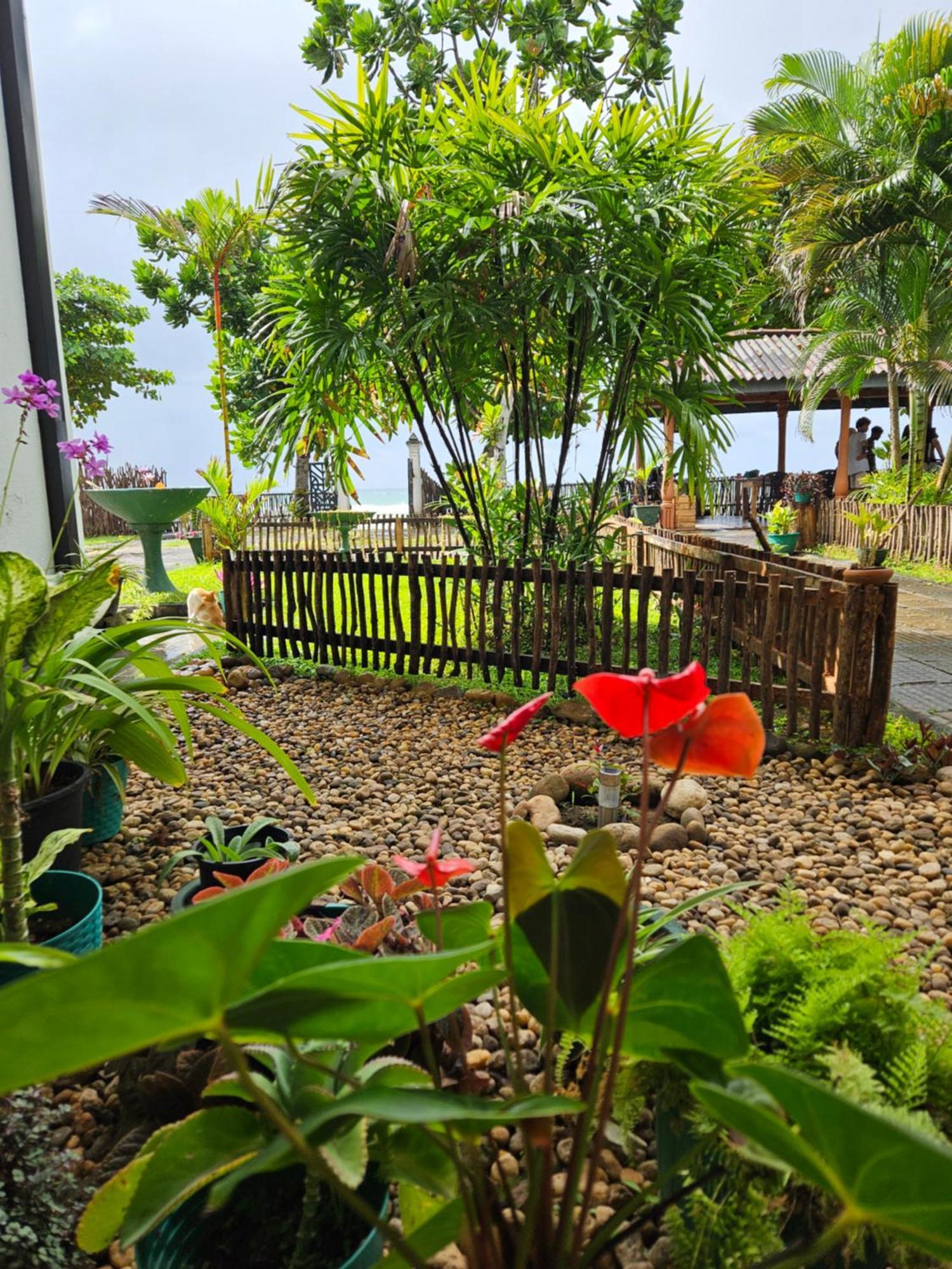 Balance Beach Resort Dickwella Exterior foto