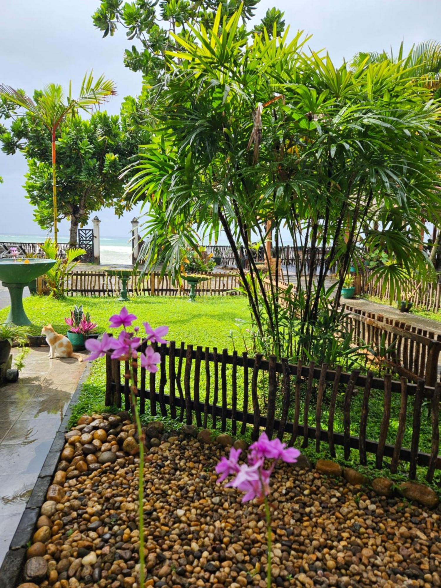 Balance Beach Resort Dickwella Exterior foto
