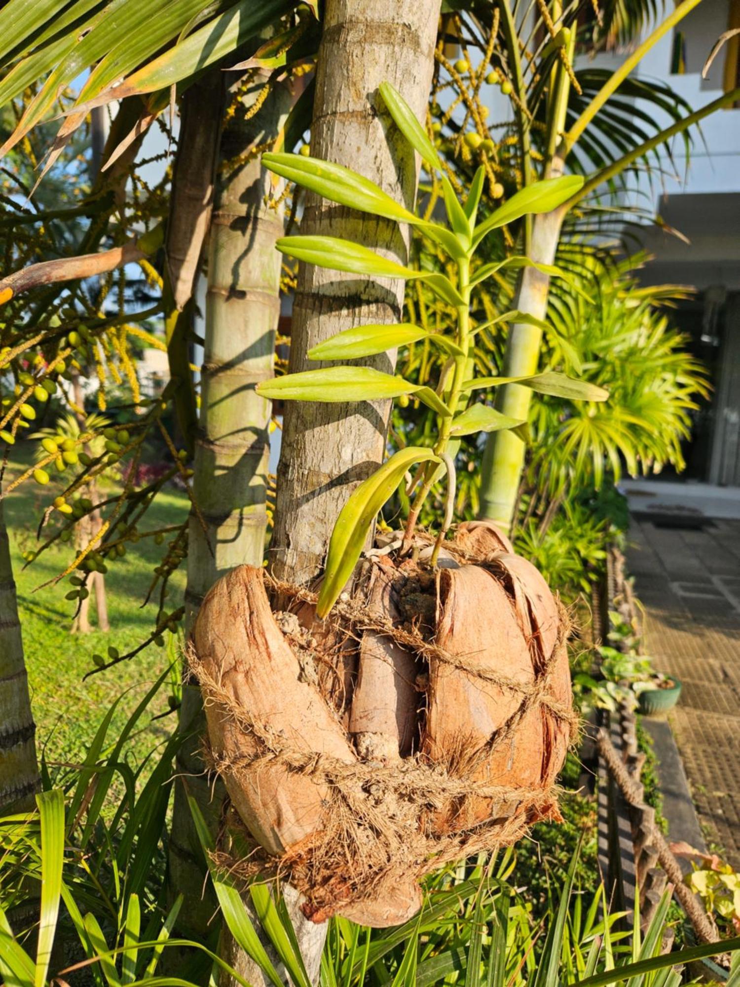 Balance Beach Resort Dickwella Exterior foto