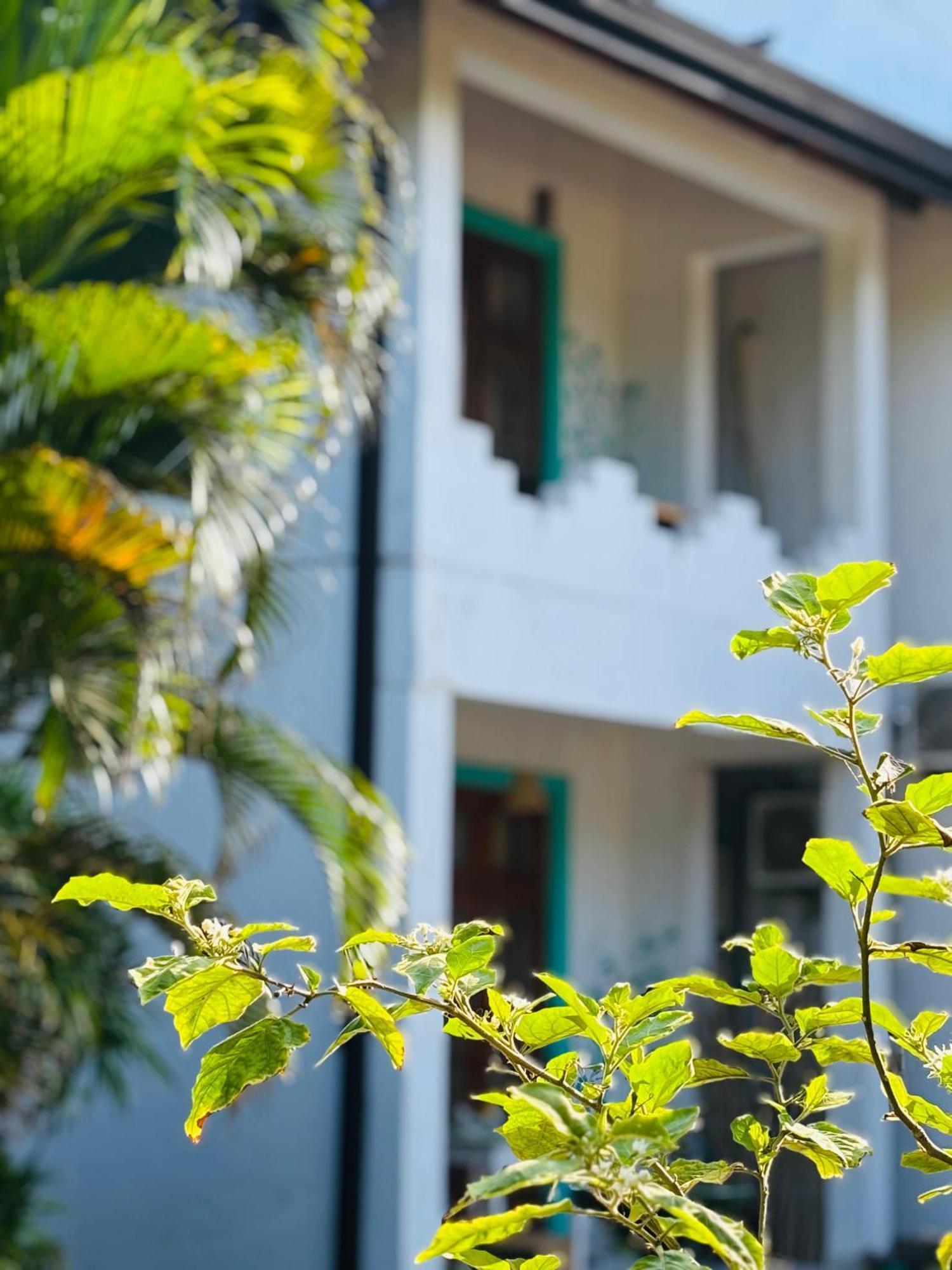 Balance Beach Resort Dickwella Exterior foto