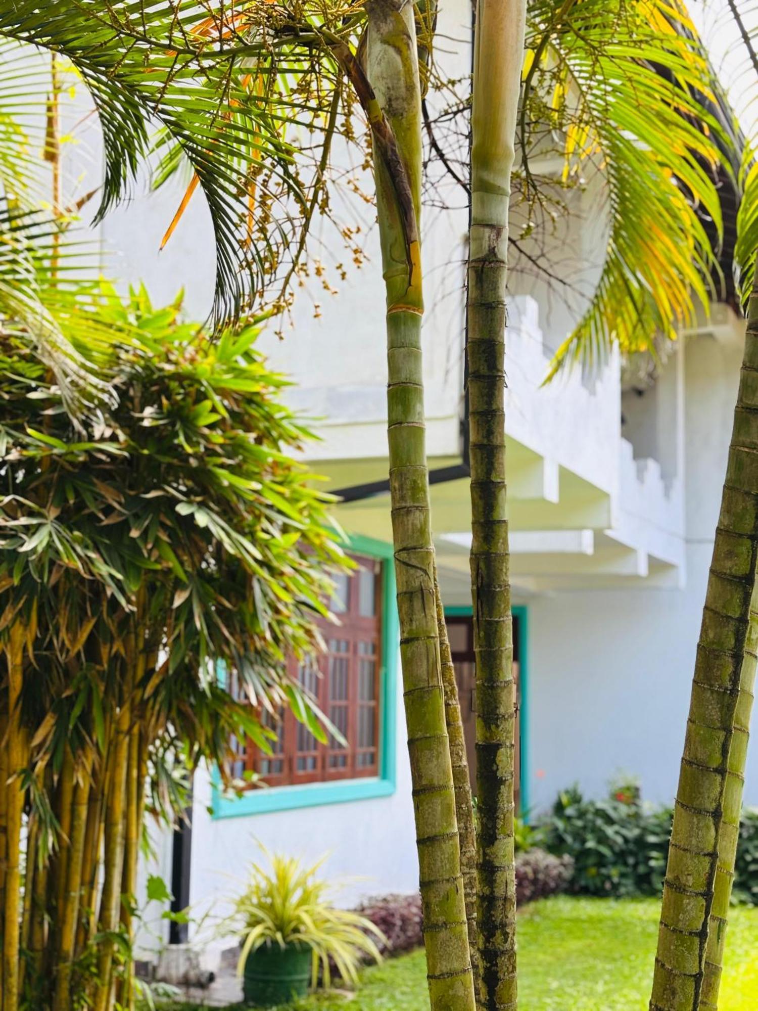 Balance Beach Resort Dickwella Exterior foto