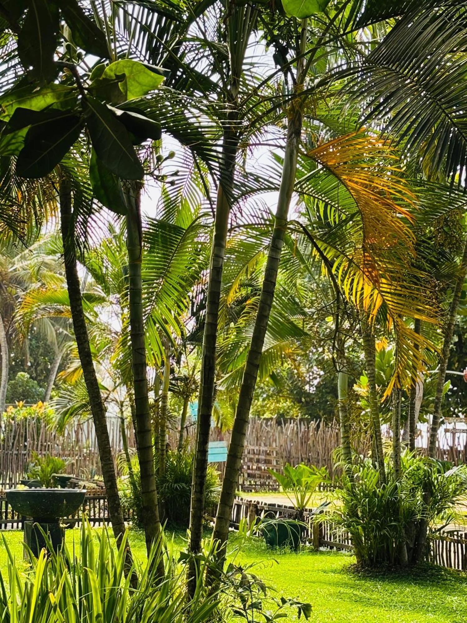Balance Beach Resort Dickwella Exterior foto