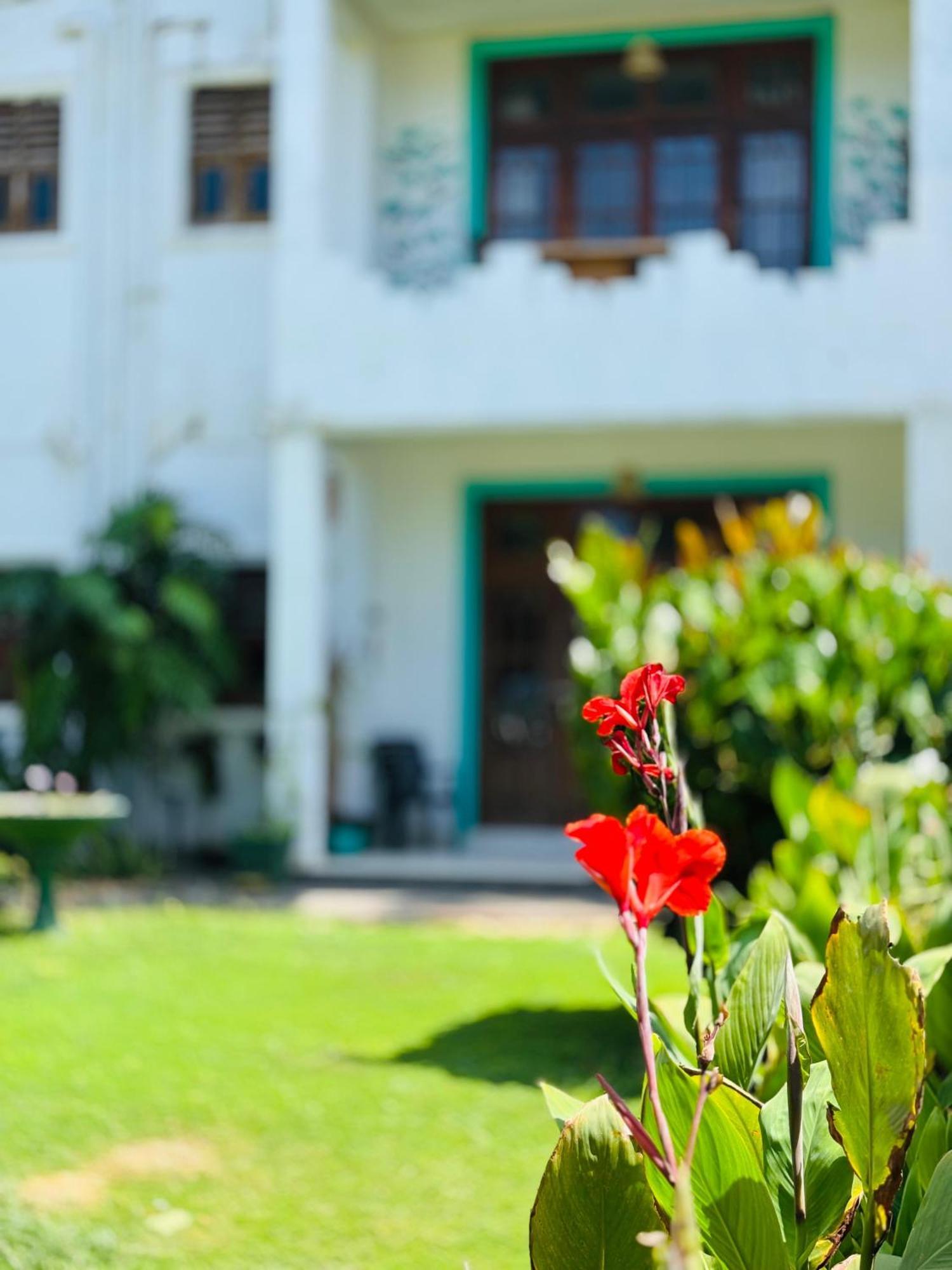 Balance Beach Resort Dickwella Exterior foto